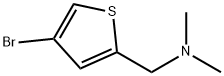 1-(4-BroMothiophen-2-yl)-N,N-diMethylMethanaMine Structure
