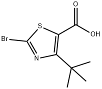 2-BroMo-4-(tert-butyl)thiazole-5-carboxylic acid|2-溴-4-(叔丁基)噻唑-5-羧酸