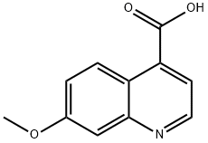 7-Methoxyquinoline-4-carboxylic acid|7-甲氧基喹啉-4-羧酸