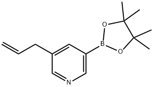 3-(2-Propen-1-yl)-5-(4,4,5,5-tetraMethyl-1,3,2-dioxaborolan-2-yl)-pyridine Struktur