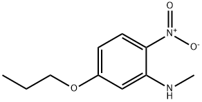 N-Methyl-2-nitro-5-propoxyaniline|