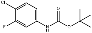 tert-butyl 4-chloro-3-fluorophenylcarbaMate|N-BOC-3-氟-4-氯苯胺