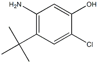 5-AMino-4-tert-butyl-2-chloro-phenol|