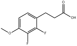 3-(2,3-Difluoro-4-Methoxyphenyl)propanoic acid 结构式