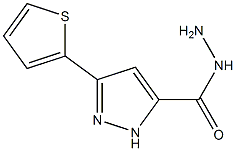 3-(Thiophen-2-yl)-1H-pyrazole-5-carbohydrazide 化学構造式
