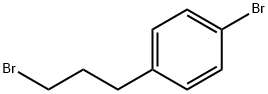 1-broMo-3-(4-broMophenyl)propane|对溴苯丙基溴