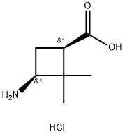 92812-22-1 cis-3-AMino-2,2-diMethylcyclobutanecarboxylic acid hydrochloride