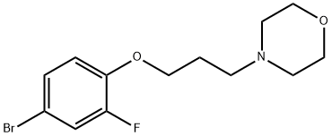 4-(3-(4-broMo-2-fluorophenoxy)propyl)Morpholine|4-(3-(4-溴-2-氟苯氧基)丙基)吗啉