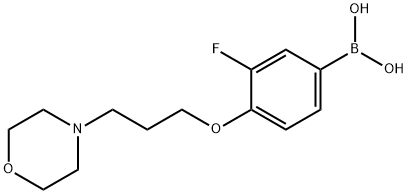 3-fluoro-4-(3-Morpholinopropoxy)phenylboronic acid|3-氟-4-(3-吗啉代丙氧基)苯基硼酸