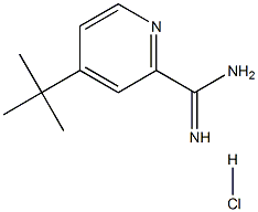 4-(tert-Butyl)picoliniMidaMide hydrochloride Struktur
