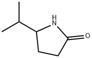 5-Isopropylpyrrolidin-2-one|5-异丙基吡咯烷酮-2-酮