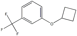 1-Cyclobutoxy-3-trifluoroMethyl-benzene