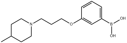 (3-(3-(4-Methylpiperidin-1-yl)propoxy)phenyl)boronic acid|(3-(3-(4-甲基哌啶-1-基)丙氧基)苯基)硼酸