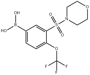 (3-(モルホリノスルホニル)-4-(トリフルオロメトキシ)フェニル)ボロン酸 化学構造式