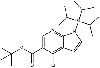 tert-butyl 4-chloro-1-(triisopropylsilyl)-1H-pyrrolo[2,3-b]pyridine-5-carboxylate 化学構造式