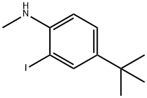 (4-tert-Butyl-2-iodo-phenyl)-Methyl-aMine 结构式