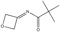 N-(oxetan-3-ylidene)pivalaMide|N-(氧杂环丁烷-3-基亚甲基)三甲基乙胺