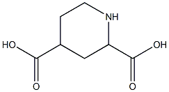 piperidine-2,4-dicarboxylic acid 结构式