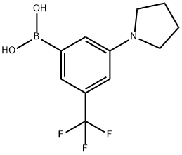 (3-(pyrrolidin-1-yl)-5-(trifluoroMethyl)phenyl)boronic acid|(3-(吡咯烷-1-基)-5-(三氟甲基)苯基)硼酸