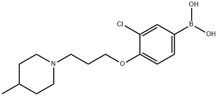 (3-chloro-4-(3-(4-Methylpiperidin-1-yl)propoxy)phenyl)boronic acid Structure