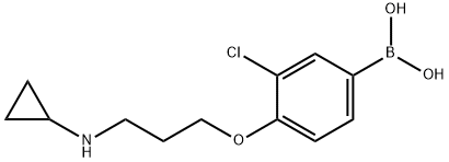 (3-chloro-4-(3-(cyclopropylaMino)propoxy)phenyl)boronic acid Struktur