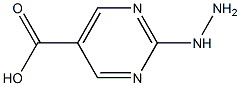 2-HydrazinylpyriMidine-5-carboxylic acid 结构式