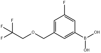 (3-fluoro-5-((2,2,2-trifluoroethoxy)Methyl)phenyl)boronic acid|3-氟-5-(((2,2,2-三氟乙氧基)甲基)苯基硼酸