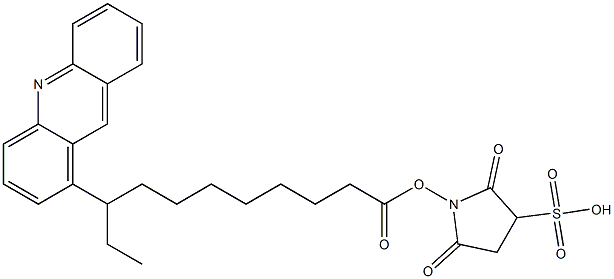 sulfo-SucciniMidyl 9-acridinyl-undecanoate Struktur