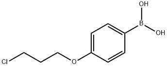 (4-(3-chloropropoxy)phenyl)boronic acid Struktur