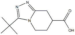 3-tert-Butyl-5,6,7,8-tetrahydro-[1,2,4]triazolo[4,3-a]pyridine-7-carboxylic acid Structure