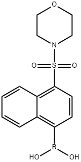 (4-(Morpholinosulfonyl)naphthalen-1-yl)boronic acid Structure