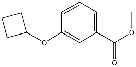 3-Cyclobutoxy-benzoic acid Methyl ester,,结构式