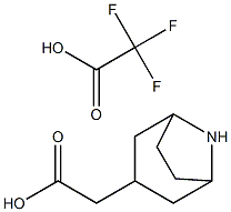 2-(8-aza-bicyclo[3.2.1]octan-3-yl)acetic acid 2,2,2-trifluoroacetate,1980044-86-7,结构式