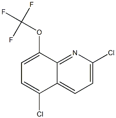 2,5-二氯-8-三氟甲氧基喹啉, , 结构式