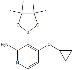 4環丙氧基34455四甲基132二氧雜環戊硼烷2基吡啶2胺