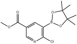 6-氯-5-(4,4,5,5-四甲基-1,3,2-二氧杂环戊硼烷-2-基)烟酸甲酯, 1622217-33-7, 结构式