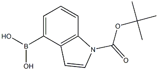 N-BOC-indole-4-boronic acid Struktur