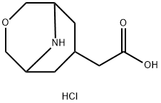 endo-3-Oxa-9-aza-bicyclo[3.3.1]nonane-7-acetic acid hydrochloride|2-(3-氧-9-氮杂双环[3.3.1]壬-7-基)乙酸盐酸盐