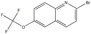 2-溴-6-(三氟甲氧基)喹啉 结构式