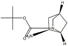 (1R,4R,6S)-tert-butyl 6-aMino-2-azabicyclo[2.2.1]heptane-2-carboxylate Struktur
