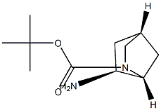 (1R,4R,6S)-tert-butyl 6-aMino-2-azabicyclo[2.2.1]heptane-2-carboxylate 结构式