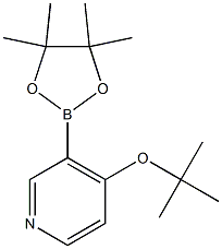 4-TERT-BUTOXY-3-(4,4,5,5-TETRAMETHYL-1,3,2-DIOXABOROLAN-2-YL)PYRIDINE Structure