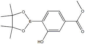 Methyl 3-hydroxy-4-(4,4,5,5-tetraMethyl-1,3,2-dioxaborolan-2-yl)benzoate