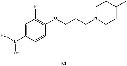 (3-fluoro-4-(3-(4-Methylpiperidin-1-yl)propoxy)phenyl)boronic acid hydrochloride Structure