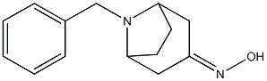 8-benzyl-3-hydroxyiMino-8-AZA-BICYCLO[3.2.1]OCTANE,,结构式