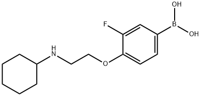 (4-(2-(cyclohexylaMino)ethoxy)-3-fluorophenyl)boronic acid Struktur