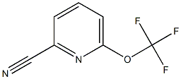 6-(trifluoromethoxy)picolinonitrile Structure