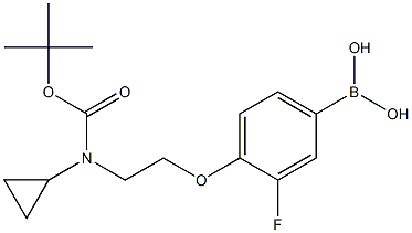 1704064-17-4 4-(2-(叔-丁氧基羰基(环丙基)氨基)乙氧基)-3-氟苯基硼酸