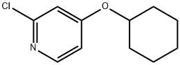 2-Chloro-4-cyclohexyloxy-pyridine Structure