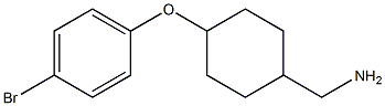 (4-(4-broMophenoxy)cyclohexyl)MethanaMine 结构式